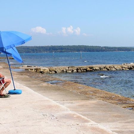 Apartments With A Swimming Pool Novigrad - 7078 מראה חיצוני תמונה
