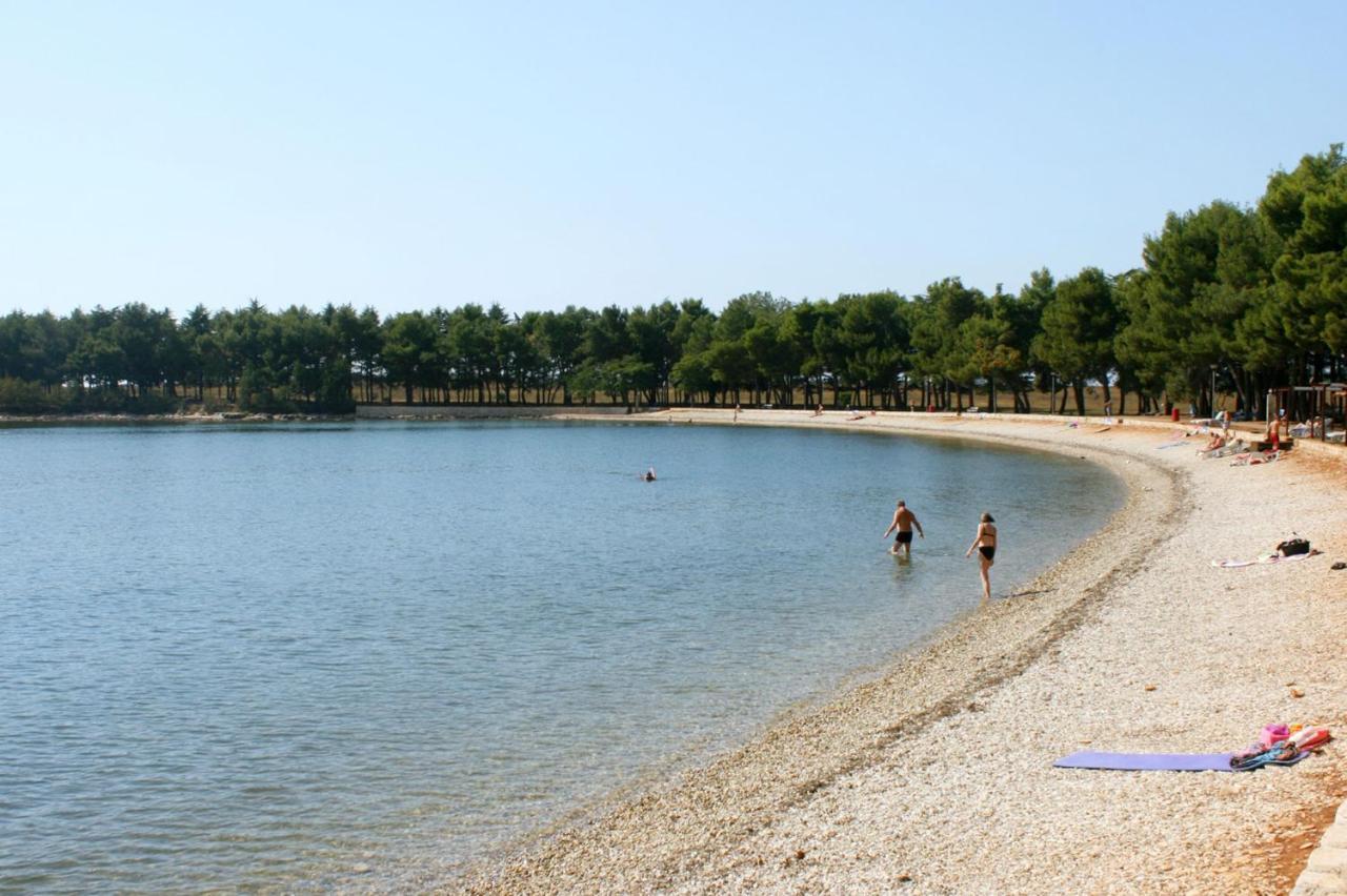 Apartments With A Swimming Pool Novigrad - 7078 מראה חיצוני תמונה